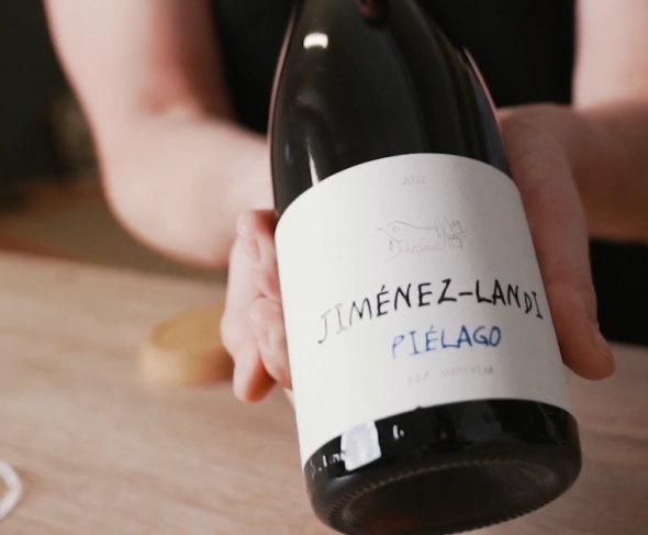Piélago 2016